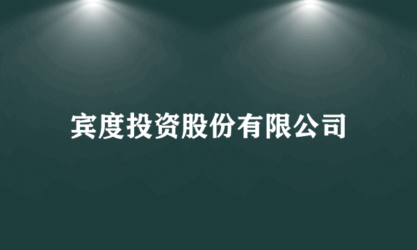 宾度投资股份有限公司