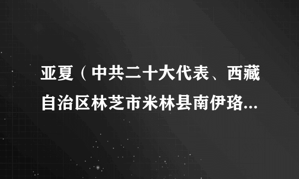 亚夏（中共二十大代表、西藏自治区林芝市米林县南伊珞巴民族乡南伊村妇联主席）