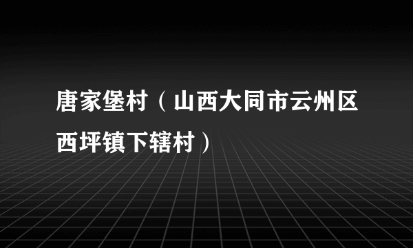 唐家堡村（山西大同市云州区西坪镇下辖村）