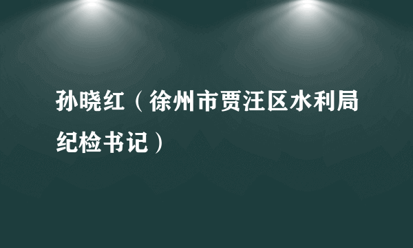 孙晓红（徐州市贾汪区水利局纪检书记）