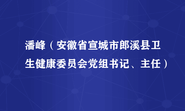 潘峰（安徽省宣城市郎溪县卫生健康委员会党组书记、主任）