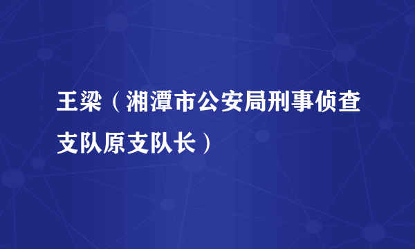 王梁（湘潭市公安局刑事侦查支队原支队长）