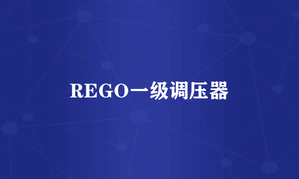 REGO一级调压器