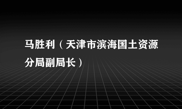 马胜利（天津市滨海国土资源分局副局长）