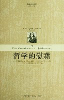 哲学的慰藉（2007年江西人民出版社出版的图书）