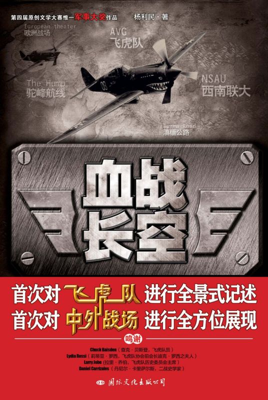 血战长空（2012年国际文化出版公司出版的图书）