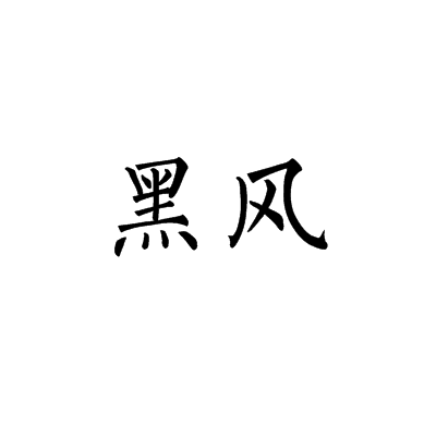 黑风（汉语词语）