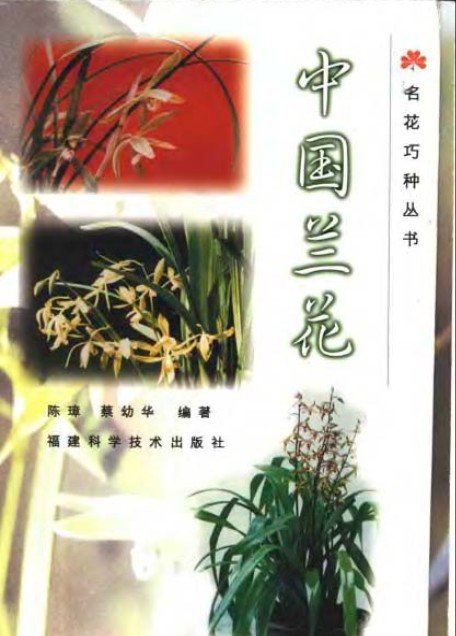 中国兰花（1999年福建科学技术出版社出版的图书）