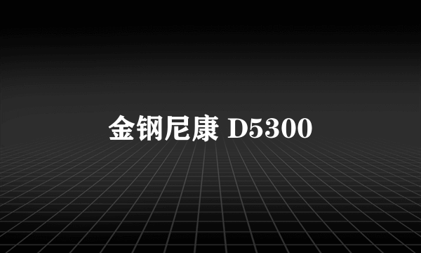 金钢尼康 D5300