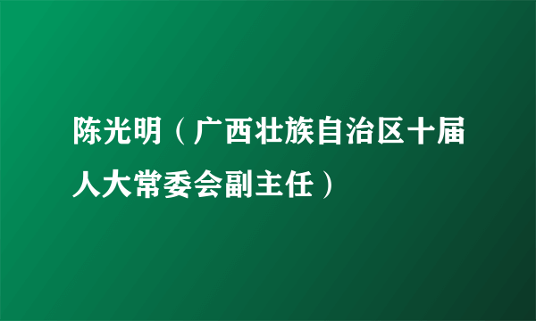 陈光明（广西壮族自治区十届人大常委会副主任）