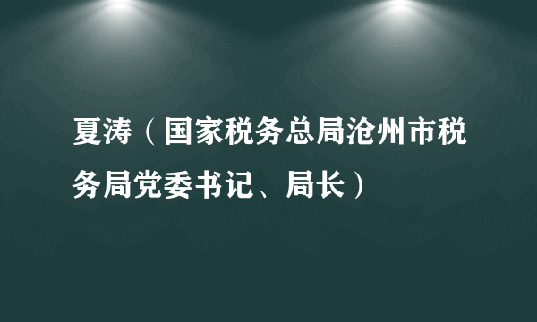 夏涛（国家税务总局沧州市税务局党委书记、局长）