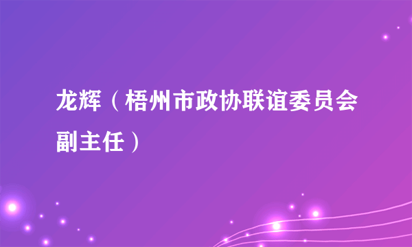 龙辉（梧州市政协联谊委员会副主任）