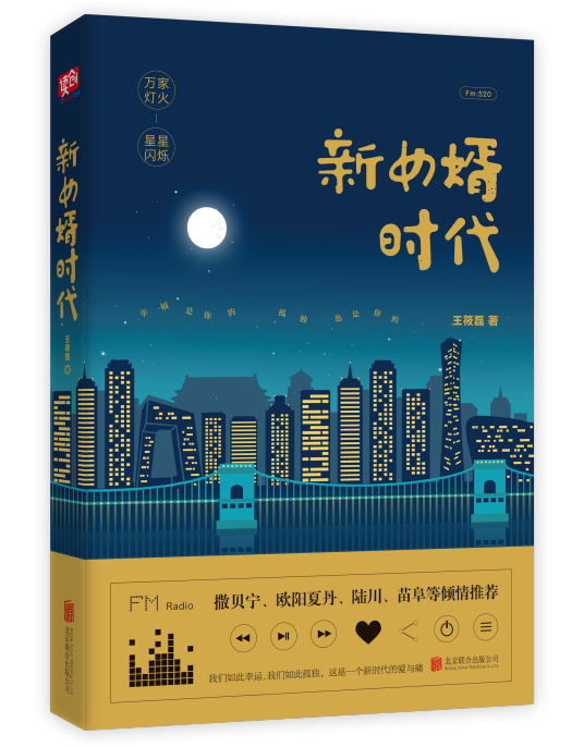 新女婿时代（2018年北京联合出版公司出版的图书）