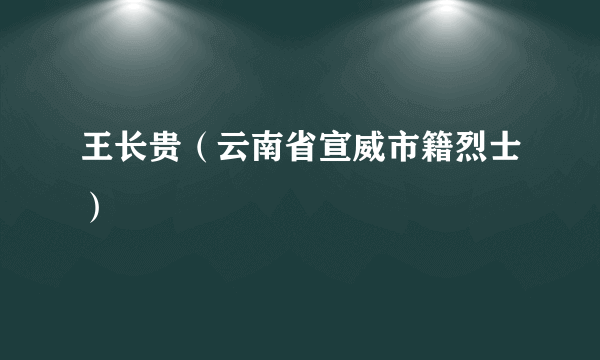 王长贵（云南省宣威市籍烈士）