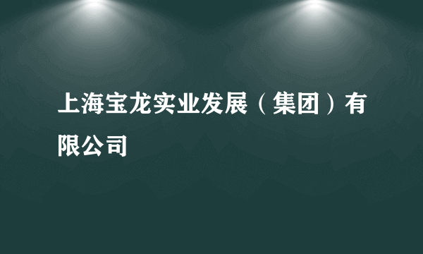 上海宝龙实业发展（集团）有限公司