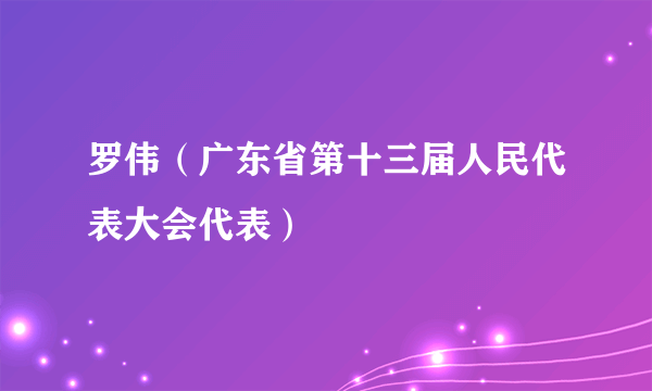 罗伟（广东省第十三届人民代表大会代表）