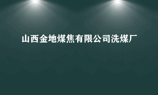 山西金地煤焦有限公司洗煤厂