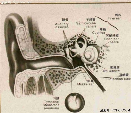 特发性突耳聋（暴聋（西医））