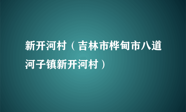 新开河村（吉林市桦甸市八道河子镇新开河村）