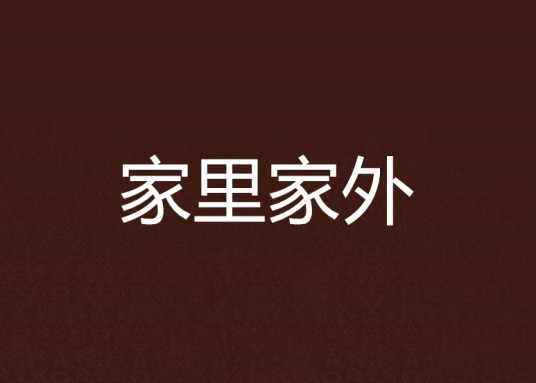 家里家外（2008年北岳文艺出版社出版的图书）