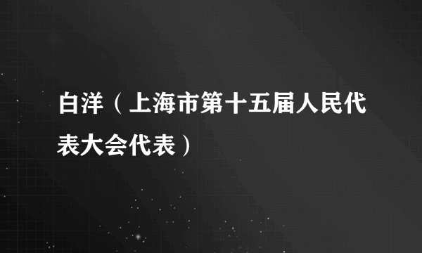 白洋（上海市第十五届人民代表大会代表）