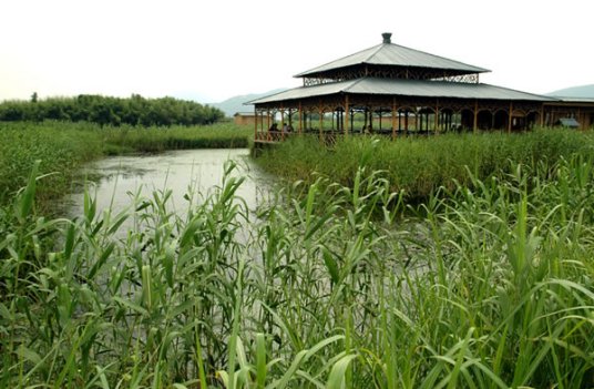 下渚湖风景名胜区