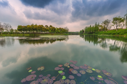 虎丘湿地公园