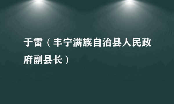 于雷（丰宁满族自治县人民政府副县长）