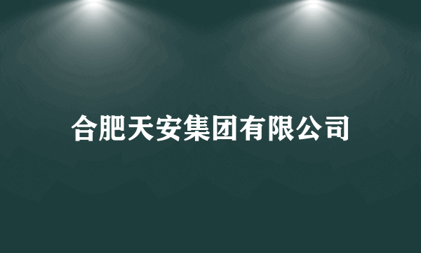 合肥天安集团有限公司