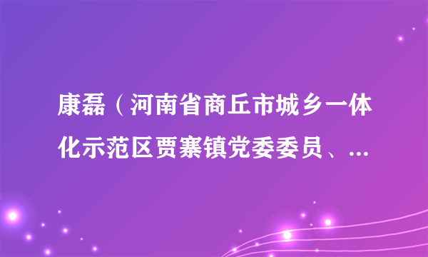 康磊（河南省商丘市城乡一体化示范区贾寨镇党委委员、组织委员）