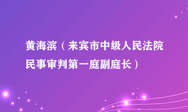 黄海滨（来宾市中级人民法院民事审判第一庭副庭长）