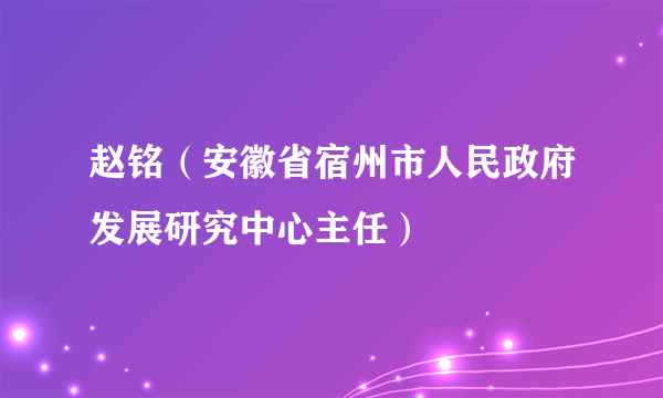 赵铭（安徽省宿州市人民政府发展研究中心主任）