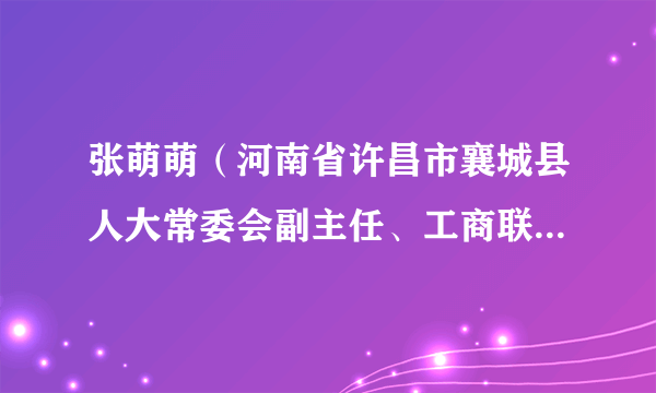 张萌萌（河南省许昌市襄城县人大常委会副主任、工商联（总商会）主席）