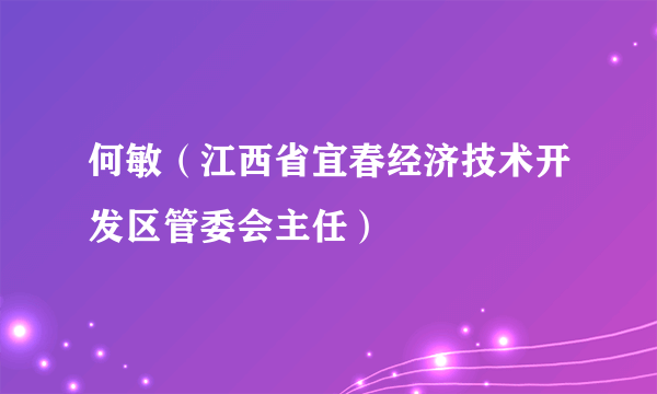 何敏（江西省宜春经济技术开发区管委会主任）