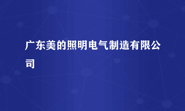 广东美的照明电气制造有限公司