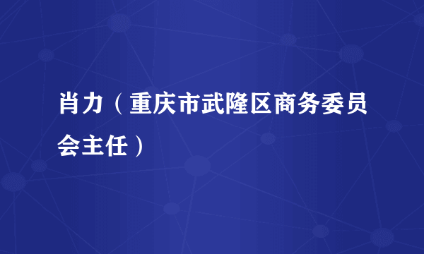 肖力（重庆市武隆区商务委员会主任）