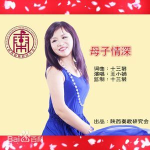 母子情深（王小娟演唱歌曲）