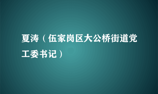 夏涛（伍家岗区大公桥街道党工委书记）