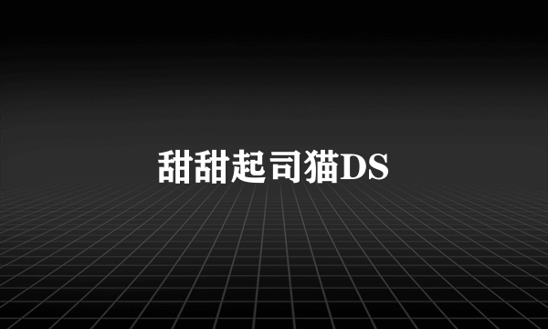 甜甜起司猫DS