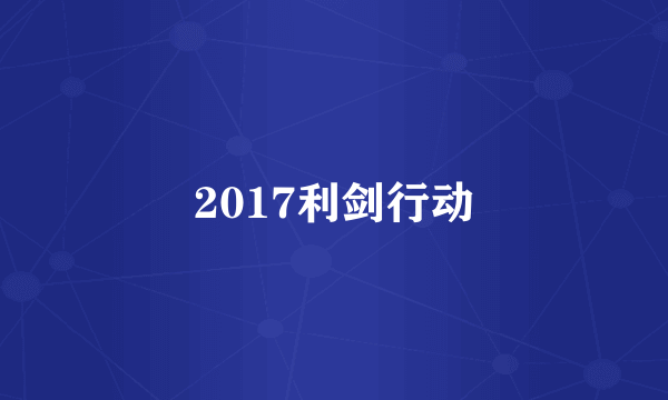 2017利剑行动