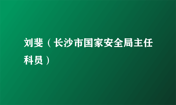 刘斐（长沙市国家安全局主任科员）