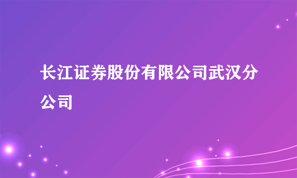 长江证券股份有限公司武汉分公司