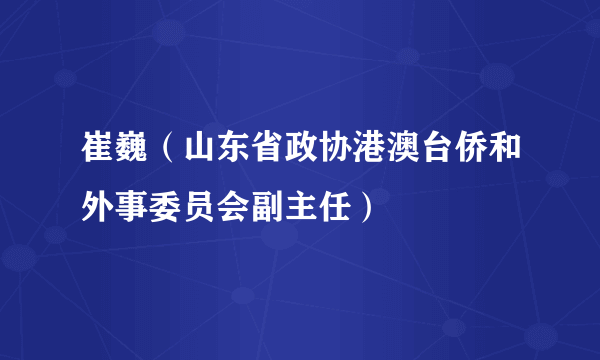 崔巍（山东省政协港澳台侨和外事委员会副主任）