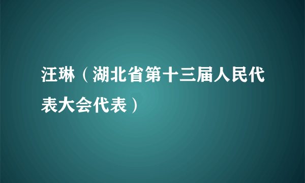 汪琳（湖北省第十三届人民代表大会代表）