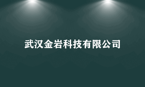 武汉金岩科技有限公司