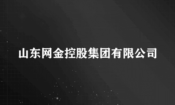 山东网金控股集团有限公司