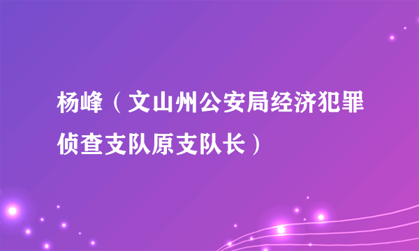 杨峰（文山州公安局经济犯罪侦查支队原支队长）