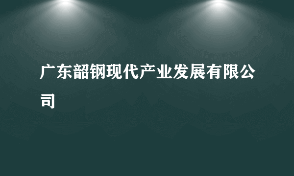 广东韶钢现代产业发展有限公司