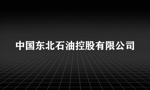 中国东北石油控股有限公司