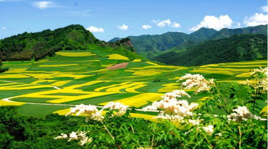 首阳山风景区